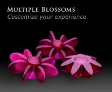 Multiple Petal Wheels